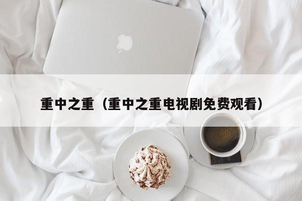 重中之重（重中之重电视剧免费观看）