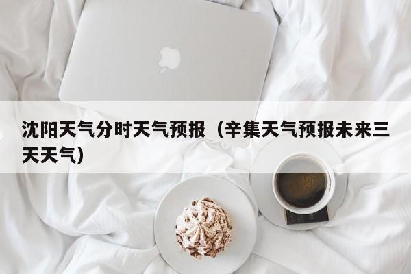 沈阳天气分时天气预报（辛集天气预报未来三天天气）