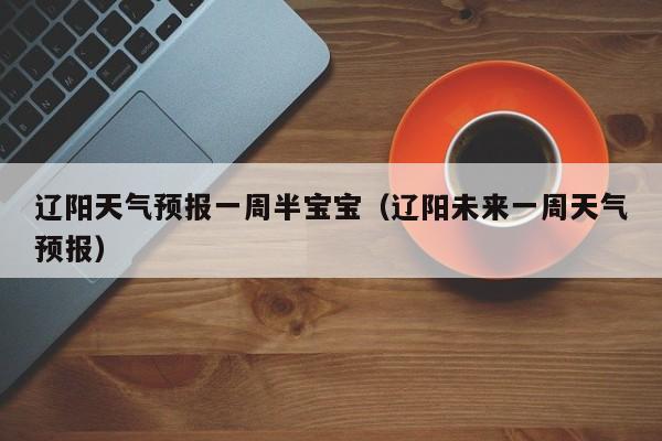 辽阳天气预报一周半宝宝（辽阳未来一周天气预报）
