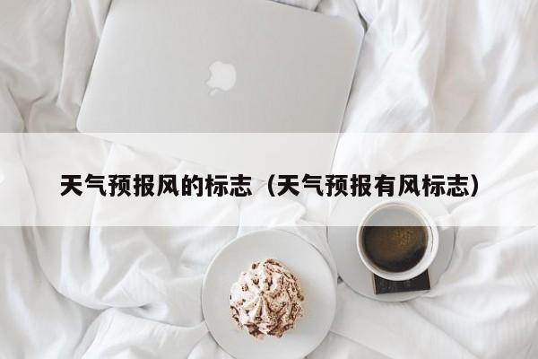 天气预报风的标志（天气预报有风标志）