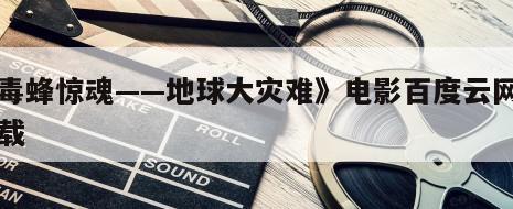 《毒蜂惊魂——地球大灾难》电影百度云网盘下载