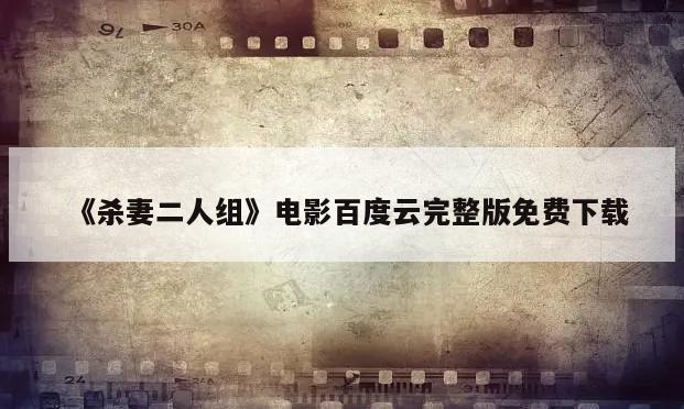 《杀妻二人组》电影百度云完整版免费下载