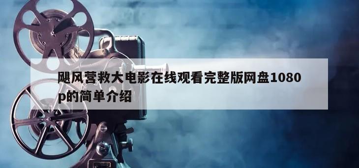飓风营救大电影在线观看完整版网盘1080p的简单介绍