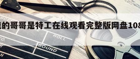 我的哥哥是特工在线观看完整版网盘1080p