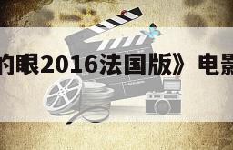 《我是你的眼2016法国版》电影百度云网盘下载