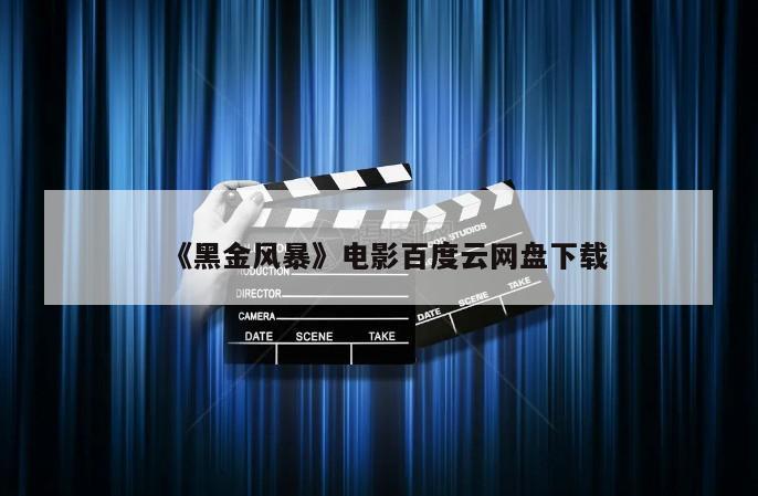《黑金风暴》电影百度云网盘下载