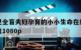爱能看见全盲夫妇孕育的小小生命在线观看完整版网盘1080p