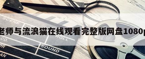 老师与流浪猫在线观看完整版网盘1080p
