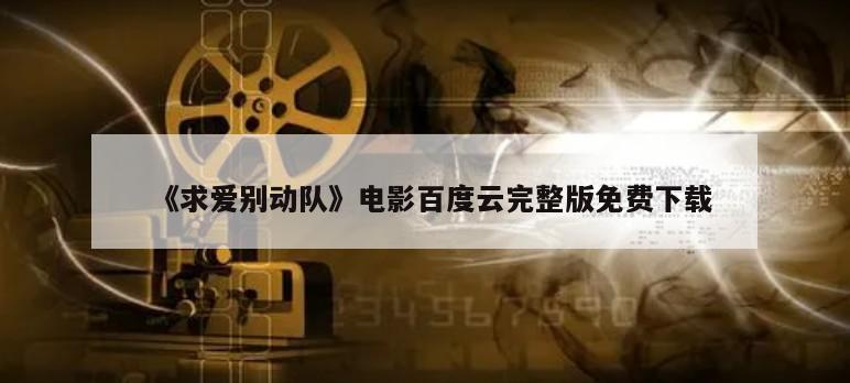 《求爱别动队》电影百度云完整版免费下载