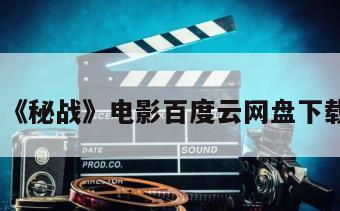《秘战》电影百度云网盘下载
