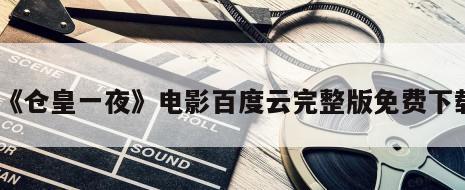 《仓皇一夜》电影百度云完整版免费下载