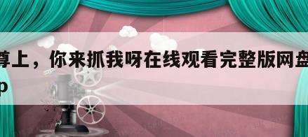 宝尊上，你来抓我呀在线观看完整版网盘1080p