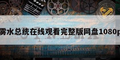 雾水总统在线观看完整版网盘1080p