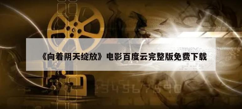 《向着阴天绽放》电影百度云完整版免费下载