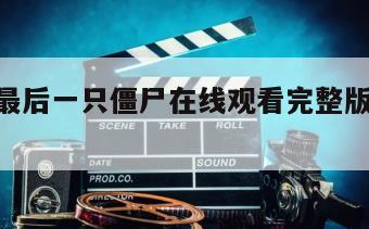 地球上最后一只僵尸在线观看完整版网盘1080p