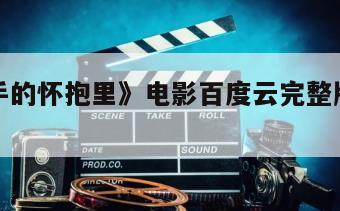《在凶手的怀抱里》电影百度云完整版免费下载