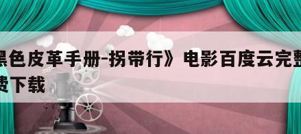 《黑色皮革手册-拐带行》电影百度云完整版免费下载