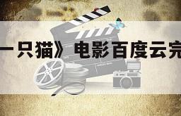 《高速路上一只猫》电影百度云完整版免费下载