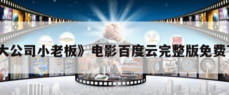 《大公司小老板》电影百度云完整版免费下载