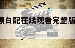 男生女生黑白配在线观看完整版网盘1080p