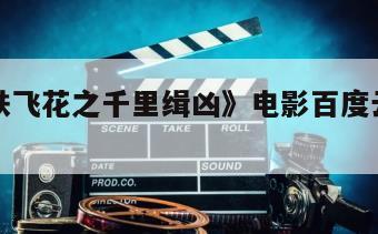 《神捕铁飞花之千里缉凶》电影百度云网盘下载