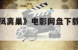 《乾坤斗转凤离巢》电影网盘下载完整版在线观看