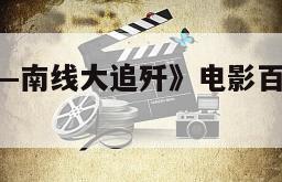 《大进军——南线大追歼》电影百度云网盘下载