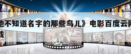 《她不知道名字的那些鸟儿》电影百度云网盘下载