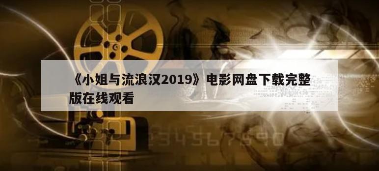 《小姐与流浪汉2019》电影网盘下载完整版在线观看