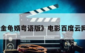 《我要金龟婿粤语版》电影百度云网盘下载