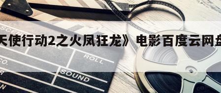 《天使行动2之火凤狂龙》电影百度云网盘下载