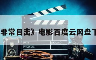 《非常目击》电影百度云网盘下载