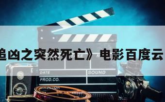 《火线追凶之突然死亡》电影百度云网盘下载