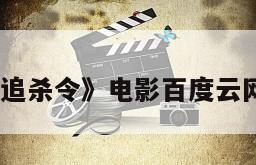 《猛龙追杀令》电影百度云网盘下载