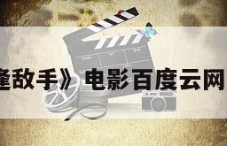 《奇逢敌手》电影百度云网盘下载