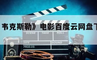 《桑迪·韦克斯勒》电影百度云网盘下载的简单介绍