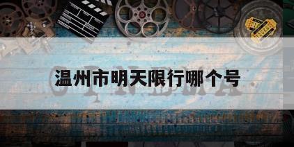 温州市明天限行哪个号