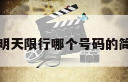 通化市明天限行哪个号码的简单介绍