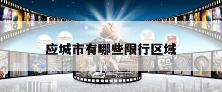应城市有哪些限行区域