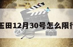 玉田12月30号怎么限行