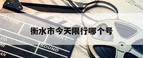 衡水市今天限行哪个号
