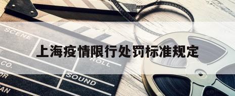 上海疫情限行处罚标准规定