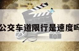 公交车道限行是速度吗
