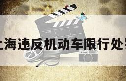 上海违反机动车限行处罚