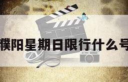 濮阳星期日限行什么号