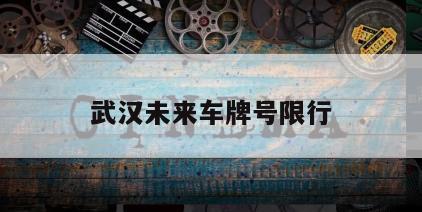 武汉未来车牌号限行