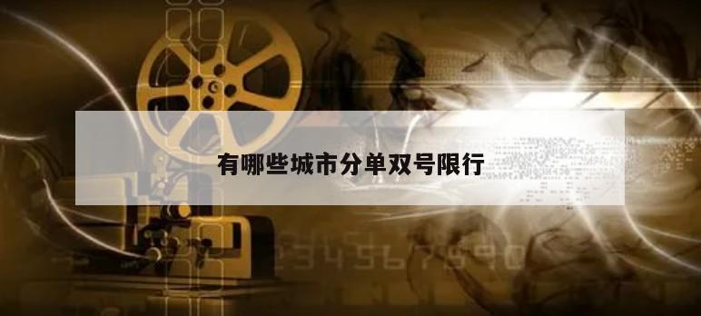 有哪些城市分单双号限行