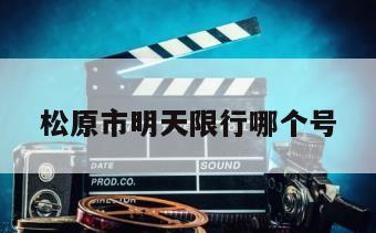 松原市明天限行哪个号