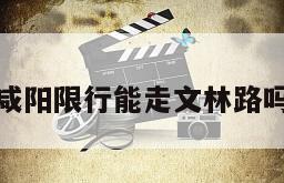 咸阳限行能走文林路吗