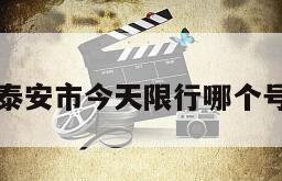 泰安市今天限行哪个号